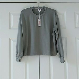 Sundry Light Basil Green Boxy Long Sleeve Sweatshirt